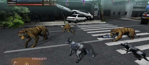 Tokyo Jungle News