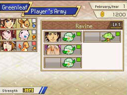 Pokemon Conquest Screenshots