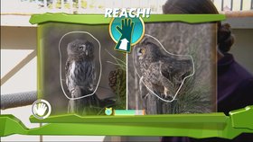 Kinect Nat Geo TV Screenshot from Shacknews