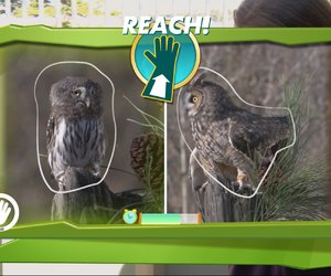 Kinect Nat Geo TV Files