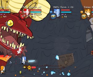 Castle Crashers Files