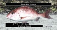 Reel Fishing Ocean Challenge screenshots