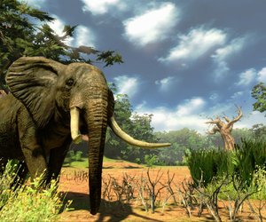 Cabela's Hunting Expeditions Files
