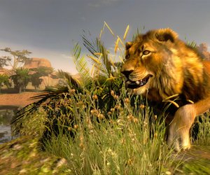 Cabela's Hunting Expeditions Chat