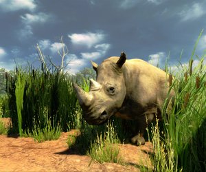 Cabela's Hunting Expeditions Videos