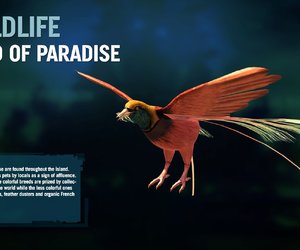 Far Cry 3 Screenshots
