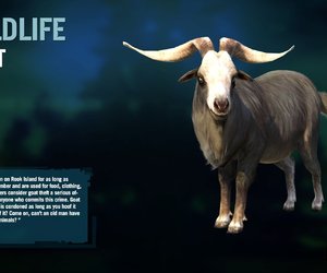 Far Cry 3 Videos