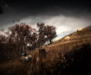 Slender: The Arrival Files