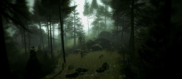 Slender: The Arrival News