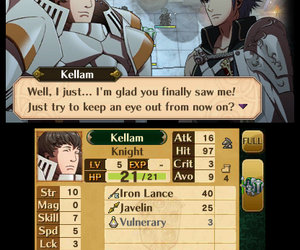 Fire Emblem: Awakening Files
