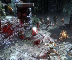 Blood Knights Files