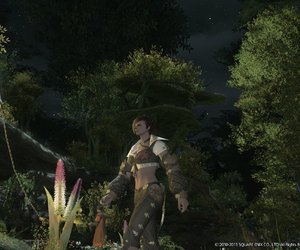 Final Fantasy XIV Videos