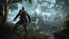 Assassin's Creed 4: Black Flag Screenshot from Shacknews