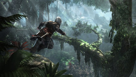 Assassin's Creed 4: Black Flag Screenshot from Shacknews