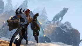 Guild Wars 2 Standard Edition Screenshot from Shacknews