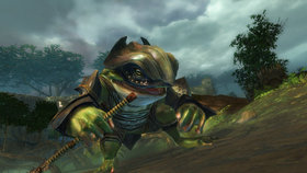 Guild Wars 2 Standard Edition Screenshot from Shacknews