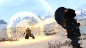 Guild Wars 2 Standard Edition Screenshot from Shacknews