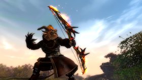 Guild Wars 2 Standard Edition Screenshot from Shacknews