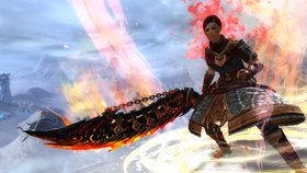 Guild Wars 2 Standard Edition Screenshot from Shacknews