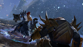 Guild Wars 2 Standard Edition Screenshot from Shacknews