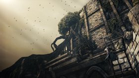 Dark Souls II Screenshot from Shacknews