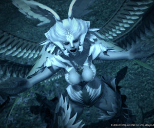 Final Fantasy XIV Videos