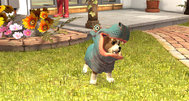 PlayStation Vita Pets sure looks familiar