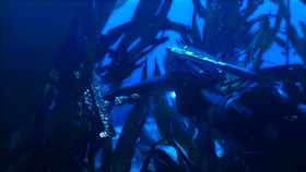Tomb Raider Underworld Screenshot from Shacknews