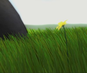 Flower Videos
