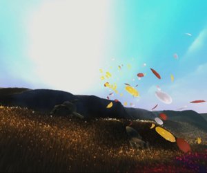 Flower Videos