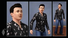 Sims 3 Screenshot from Shacknews