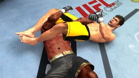 UFC 2009 Undisputed Screenshot from Shacknews