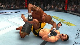 UFC 2009 Undisputed Screenshot from Shacknews