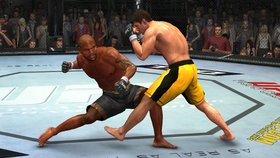UFC 2009 Undisputed Screenshot from Shacknews