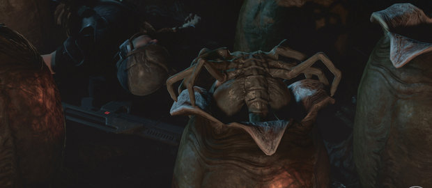 Aliens: Colonial Marines News