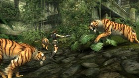 Tomb Raider: Underworld Screenshot from Shacknews