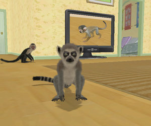 Monkey Madness Screenshots