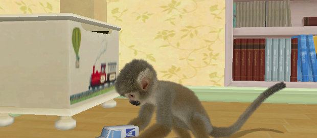 Monkey Madness News