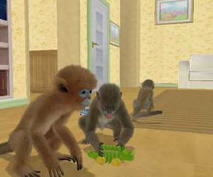 Monkey Madness Chat