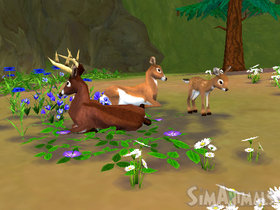SimAnimals Screenshot from Shacknews