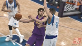 NBA 2K9 Screenshot from Shacknews
