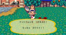 Animal Crossing: City Folk Screenshot from Shacknews