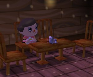 Animal Crossing: City Folk Chat