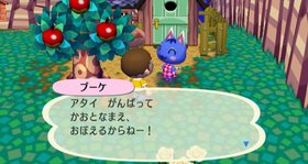Animal Crossing: City Folk Screenshot from Shacknews