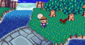 Animal Crossing: City Folk Screenshot from Shacknews