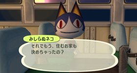 Animal Crossing: City Folk Screenshot from Shacknews
