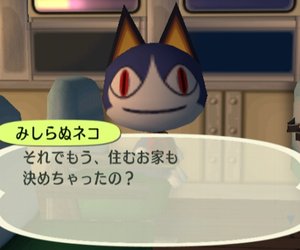 Animal Crossing: City Folk Screenshots