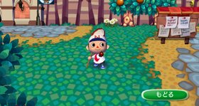 Animal Crossing: City Folk Screenshot from Shacknews