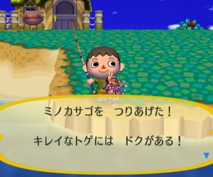 Animal Crossing: City Folk Files