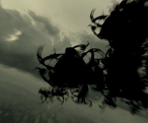 Linger in Shadows Screenshots